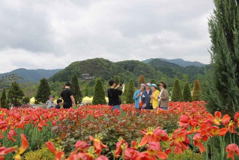 Pocheon Hantangang Garden Festa 9