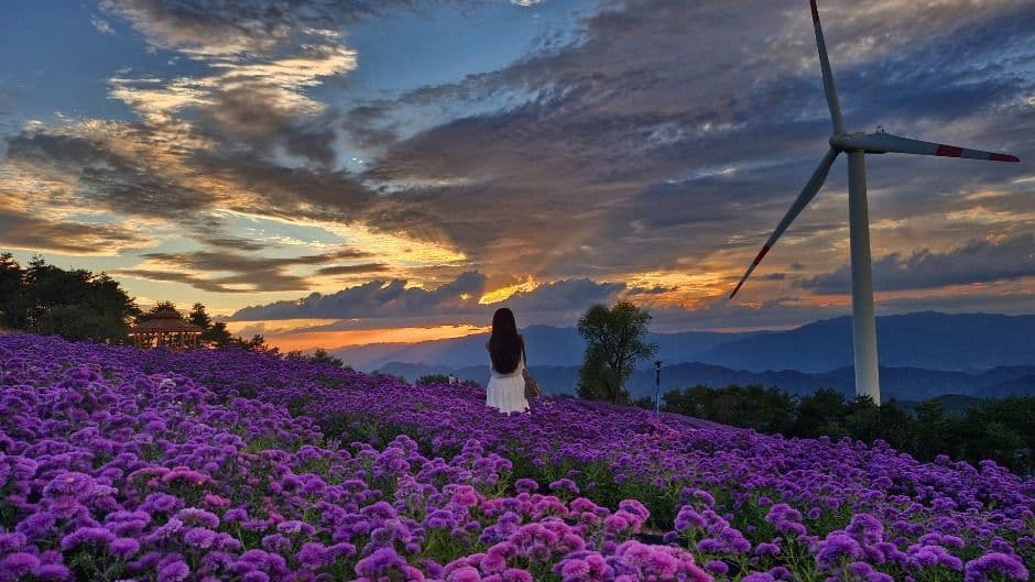 Geomaksan Flower and Star Journey 5