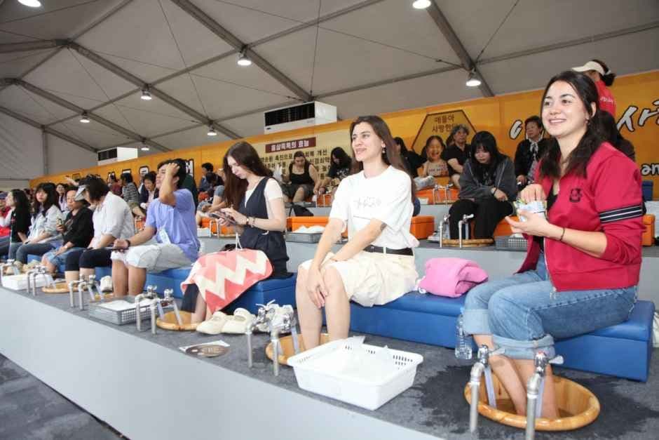 Geumsan World Insam Festival (금산세계인삼축제) 10