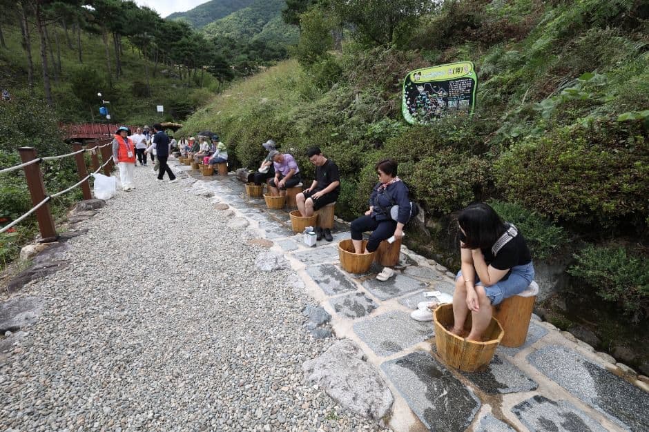 Sancheong Medicinal Herb Festival (산청한방약초축제) 5