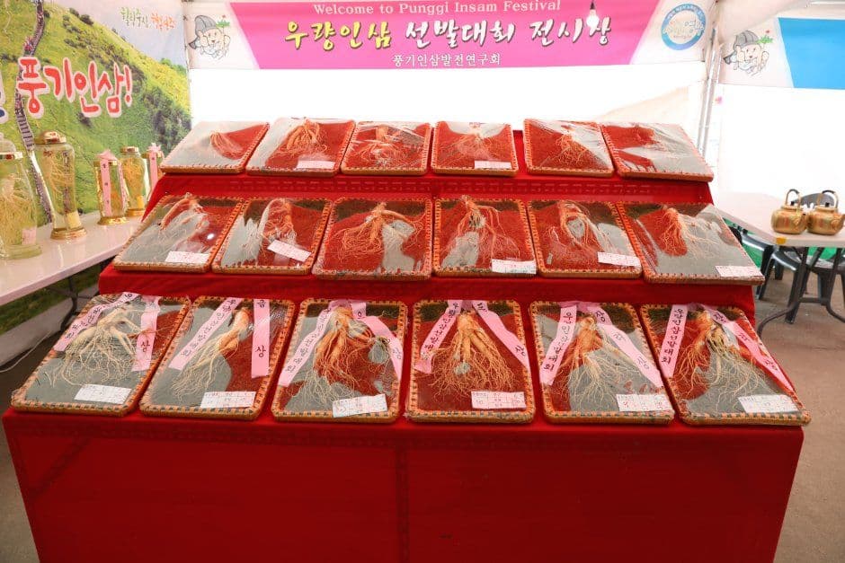 Yeongju Punggi Insam Festival (경북영주 풍기인삼축제) 2