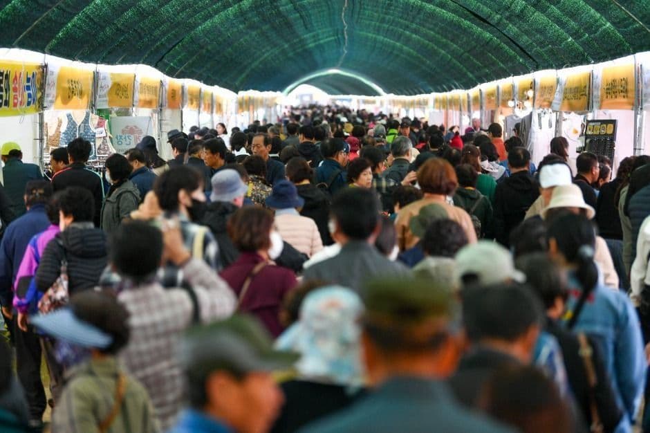 Yeongju Punggi Insam Festival (경북영주 풍기인삼축제) 3