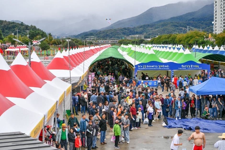 Yeongju Punggi Insam Festival (경북영주 풍기인삼축제) 4