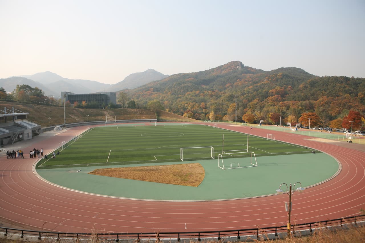 서울대학교