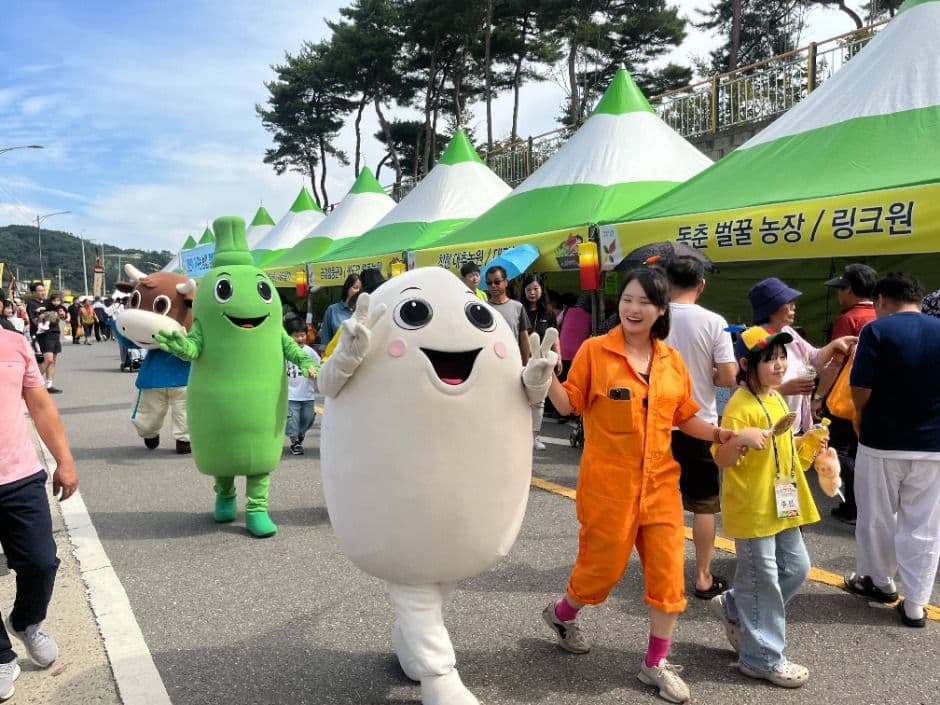 Cheongwon Saengmyeong Festival