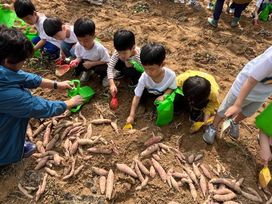 Cheongwon Saengmyeong Festival 3