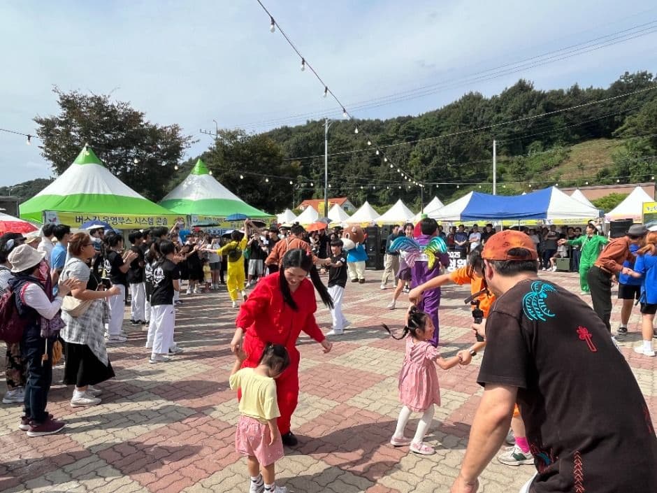Cheongwon Saengmyeong Festival 4