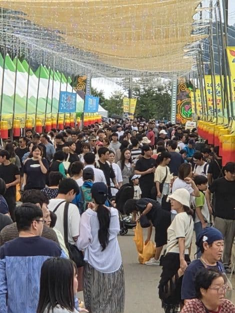 Cheongwon Saengmyeong Festival 6